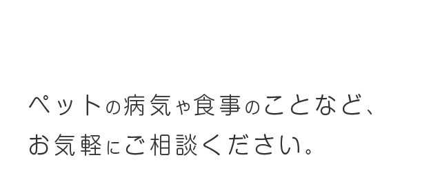 アミール動物病院