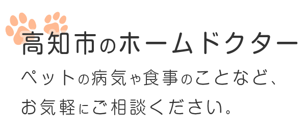 アミール動物病院